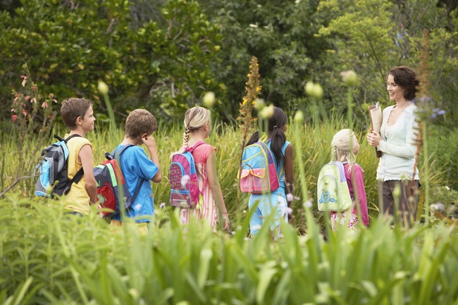 outdoor-wonders-for-early-childhood-development